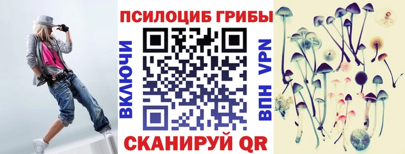 купить   Ивангород  Галлюциногенные грибы прущие грибы 